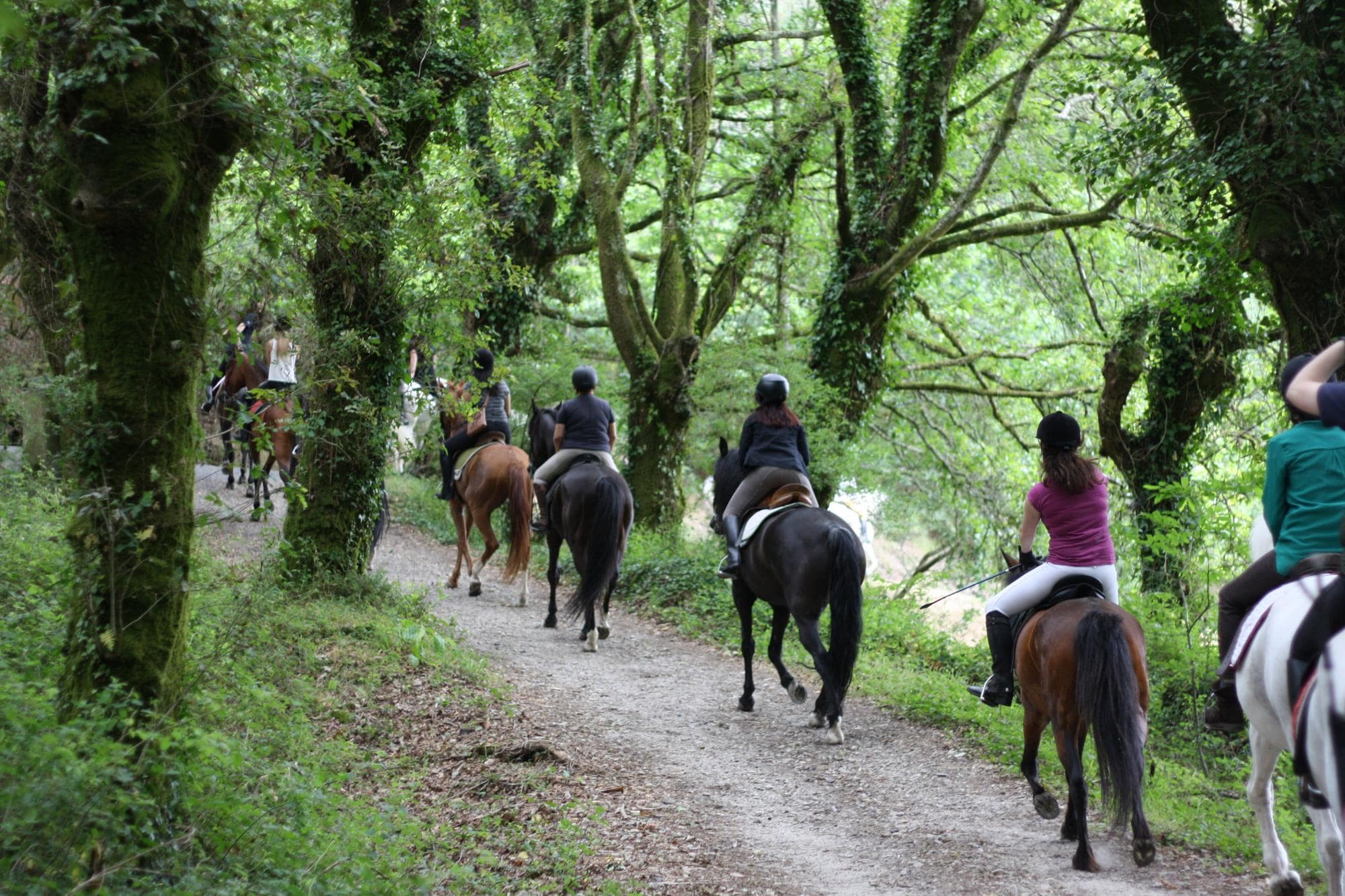 Ruta a caballo Madrid