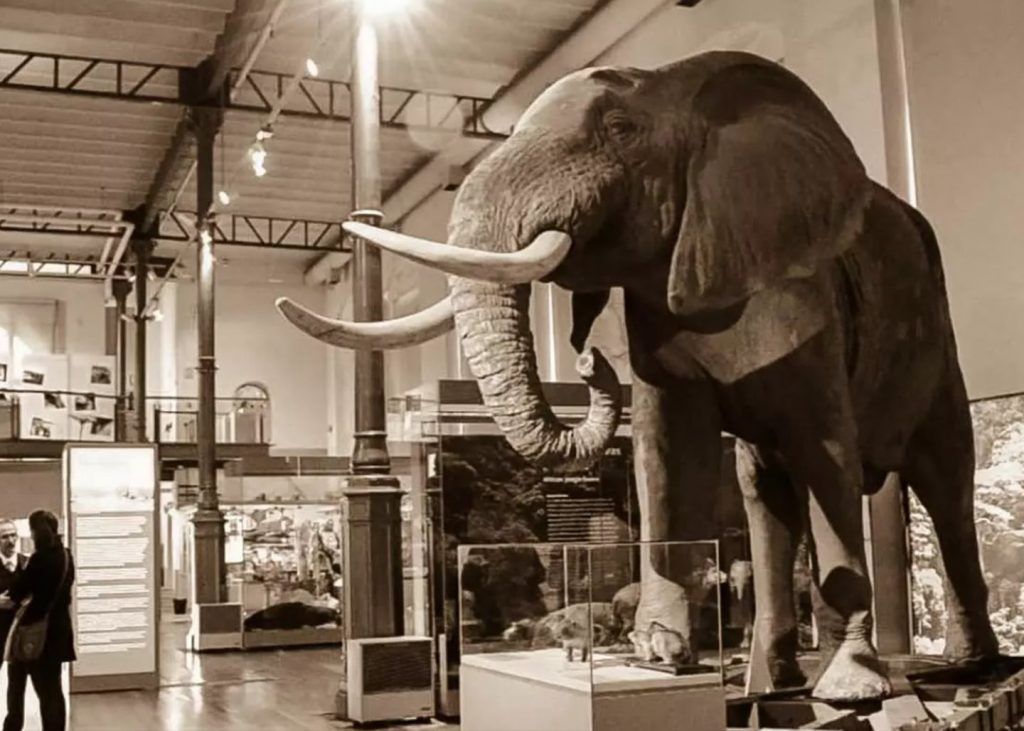 Museos de Madrid