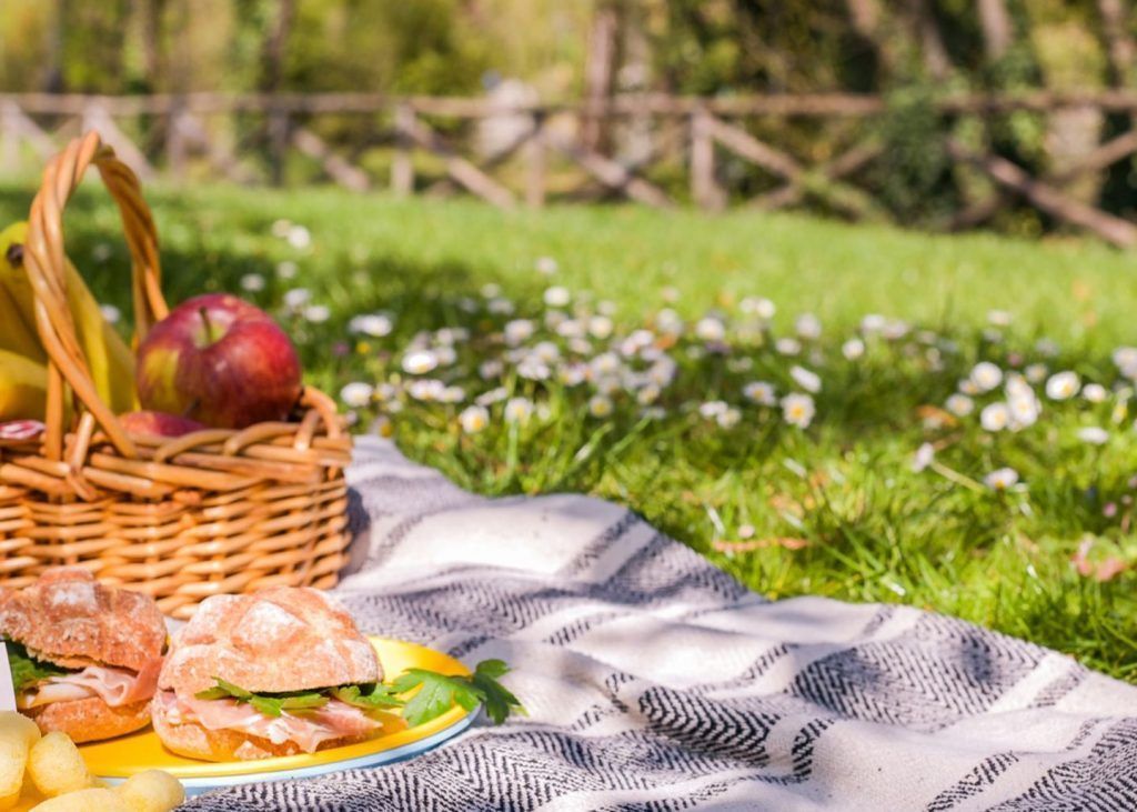 Donde hacer picnic en Madrid