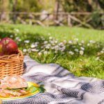 Donde hacer picnic en Madrid: Los 10 mejores lugares