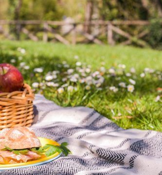 Donde hacer picnic en Madrid