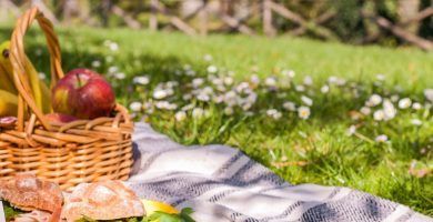 Donde hacer picnic en Madrid